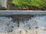 image of grave number 365060